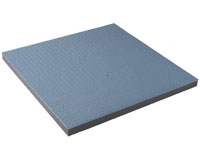 Platform Scale