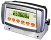 Rinstrum X320 Display